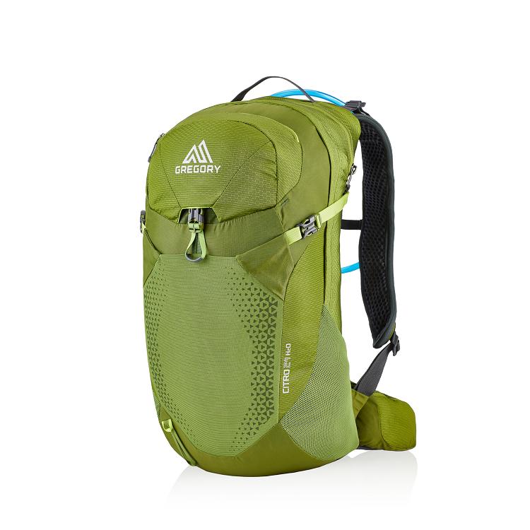 Gregory Citro 24 H2O Hiking Backpack Men Green Ireland 7532QSAEL